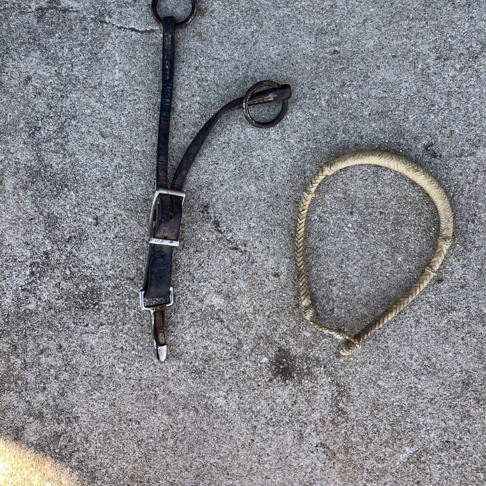 Horse tack bundle